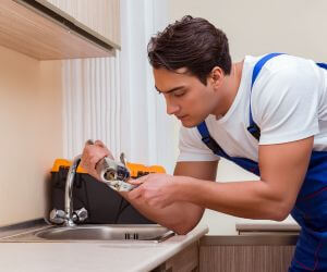 About Plumbers Pros McIntire, IA